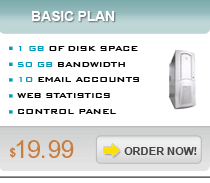 Basic Hosting Plan