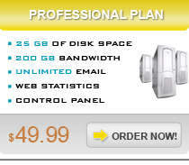 Professional Hosting Plan